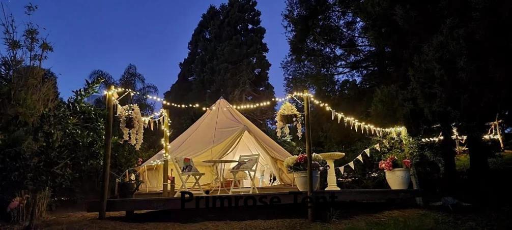 Kerikeri Glamping酒店 外观 照片